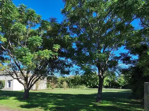 Rbs. Oportunidad!! Gran Lote Interno En Altos De M