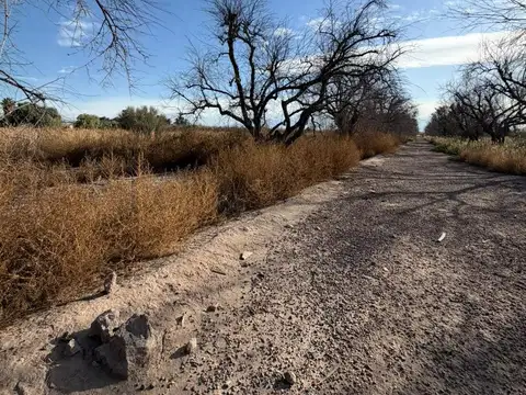 Terreno en Venta de 75000,0 m2