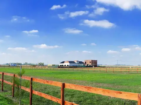 Campos de La Enriqueta
