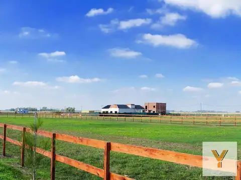 Campos de La Enriqueta