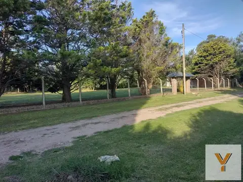 1455 e/ Los Ombúes y 1458