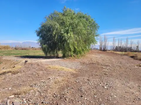 Terreno en Venta en El Molino, USD 920.000