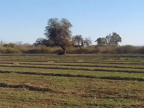 VENTA DE CAMPO 30 HAS EN VILLA DEL SOTO CORDOBA