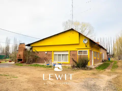 Venta chacra 9.5 hectáreas | Vista Alegre Sur | en producción | gas natural | electricidad trifásica