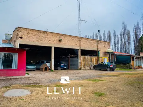 Venta chacra 9.5 hectáreas | Vista Alegre Sur | en producción | gas natural | electricidad trifásica
