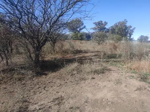VENTA TERRENO 1 HECTAREA  EN QUINTAS DE FERREYRA