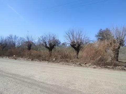 Terreno en Venta de 10000,0 m2