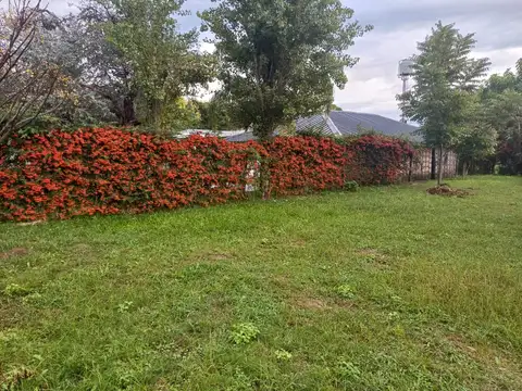 VENDO TERRENO TOTALMENTE PARQUIZADO ,CAYASTA