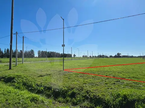 Tu lote propio con servicios y escritura en Barrio Don Basilio, cerca de Av. 520