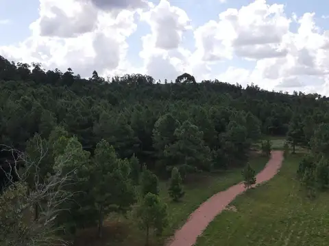 Chacra de 4,8 ha Lapataia, Maldonado Uruguay.