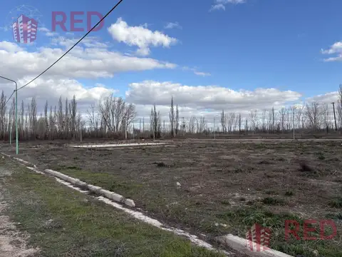 Terreno en Venta en Cinco Saltos, USD 8.500