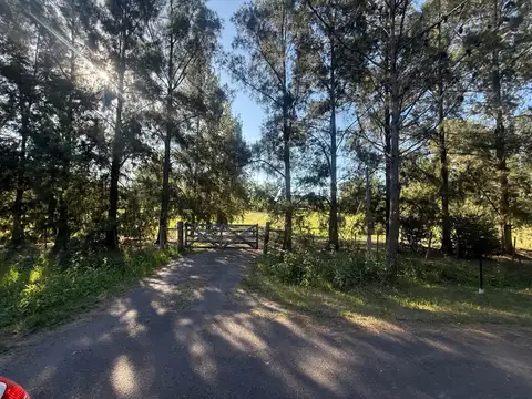 Quinta en Venta en Lisandro Olmos Etcheverry, USD 480.000