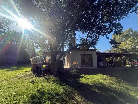 169 y 41