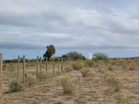 Terreno en Venta en Monte Caseros, USD 4.000