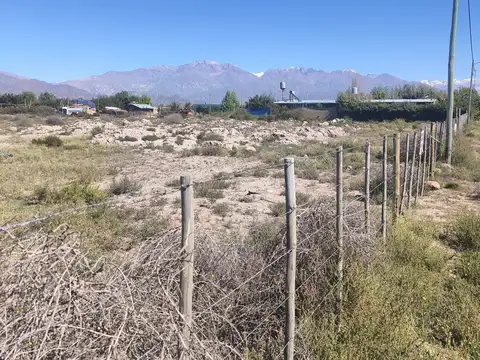 Terreno 10.000 m2 en El Cepillo Valle de Uco