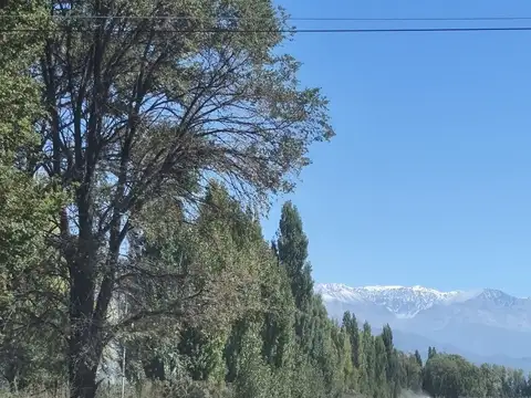Del Campo