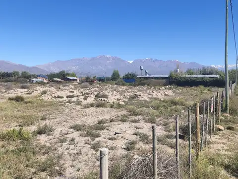 Terreno en Venta de 10000,0 m2