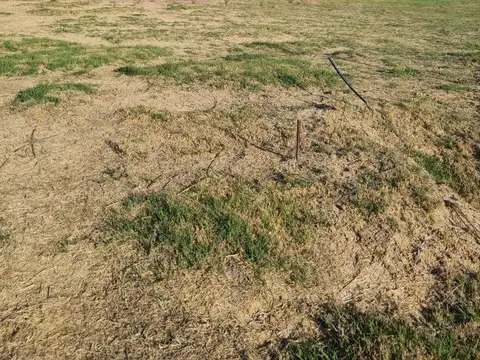 Terreno en Venta 30  mts Fondo