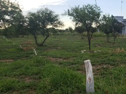Terreno en Venta en Centro, USD 16.000