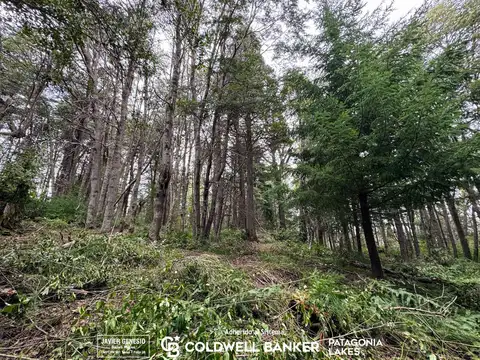 Terreno en Venta en Selva Triste, USD 75.000
