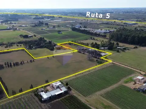VENTA CAMPO+CHACRA  4.5 Ha. LAS PIEDRAS CANELONES