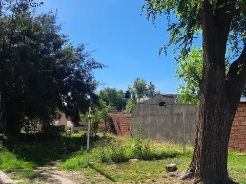 Ruta Nacional 11 100