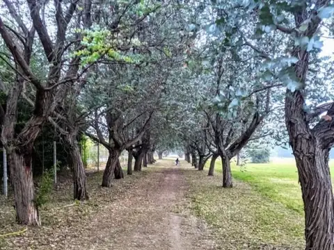 Terreno en Venta en Casuarinas Del Pilar, USD 60.000