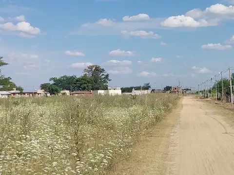 manzana entre las calles 489 y 491, y diagonal norte y 528