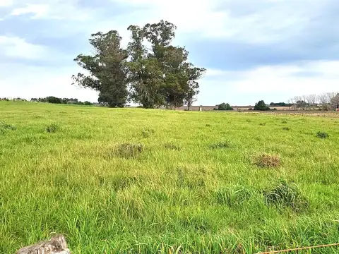 VENTA CHACRA RUTA 36 , KM 42.900 2 TAJAMARES