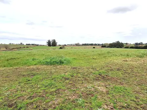 VENTA CHACRA RUTA 36 , KM 42.900 2 TAJAMARES