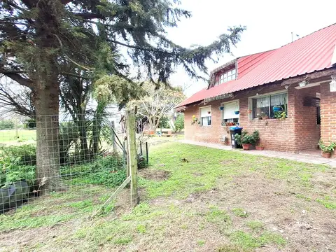 Ruta 36
