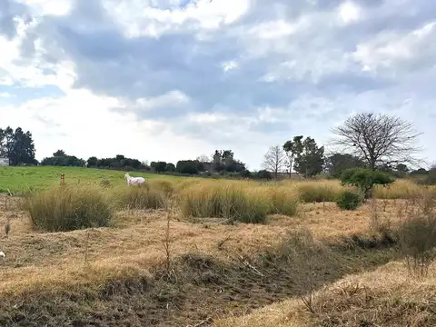 Ruta 36