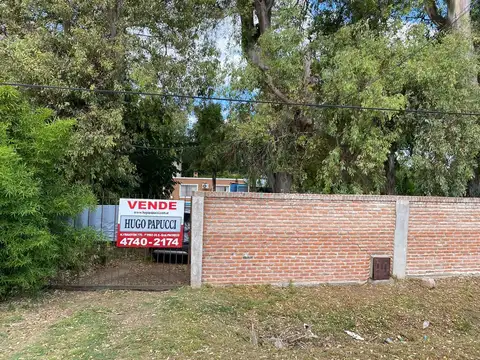 Dr. Rene Favaloro N° 1.750 1700