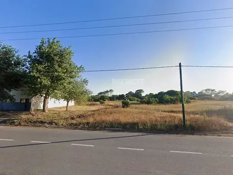 PASEO 139 ENTRE AVENIDAS 12 Y 13