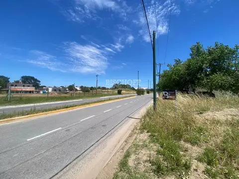 EXCELENTE TERRENO COMERCIAL SOBRE PASEO 139