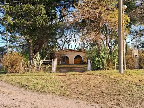 San Martín  y Tadea Jordán