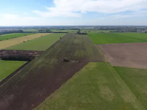 Terreno Campo  en Venta en Altos de Robles, Parada Robles, Exaltación de la Cruz