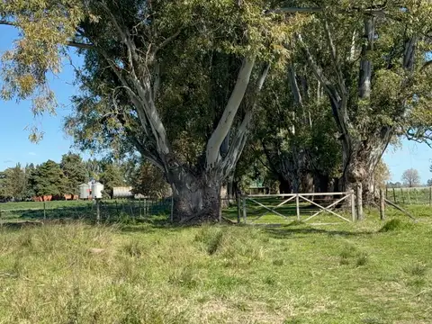 Terreno Campo  en Venta en Altos de Robles, Parada Robles, Exaltación de la Cruz