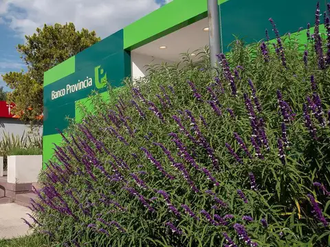 Galpon en Alquiler A Estrenar