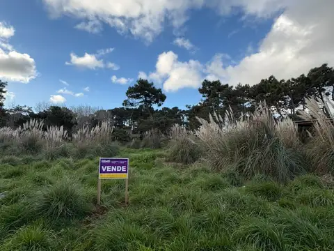 Los Pinos 1200