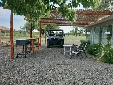 Campo con Olivos en Catamarca