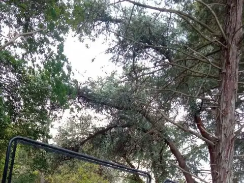 Terreno en Venta de 1012,0 m2