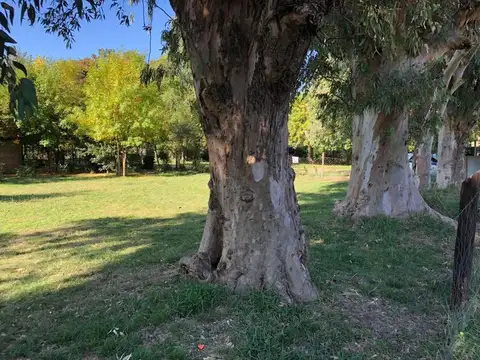 Terreno en Venta en Francisco Alvarez, USD 20.000