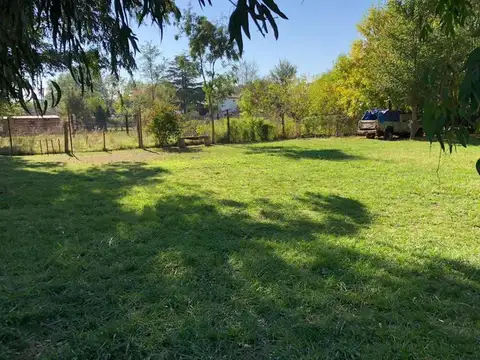 carola lorenzini 5800