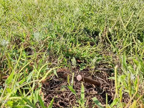 Terreno en Venta en Juarez Celman, USD 8.500