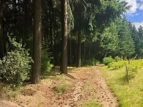 VENTA 10 hectáreas con costa de río, El Bolsón, Rio Negro