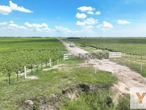 Ruta Provincial 77