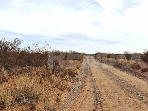 VENTA CAMPO 10 HECTAR COLONIA SAN JOSE SENILLOSA