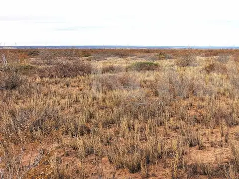 VENTA CAMPO 10 HECTAR COLONIA SAN JOSE SENILLOSA