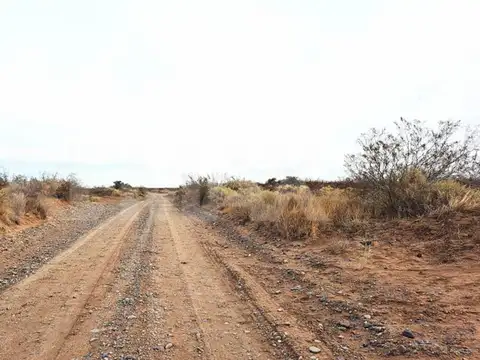 VENTA CAMPO 10 HECTAR COLONIA SAN JOSE SENILLOSA